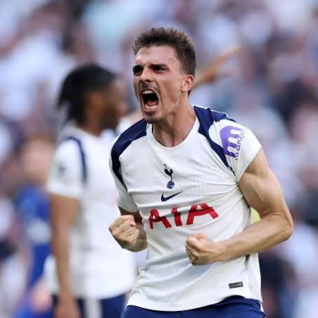 Joao Palhinha playing for Tottenham Hotspur